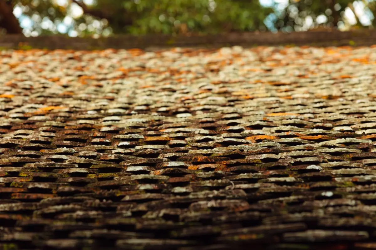 Aging shingle roof with moss growth and granule loss in Oshkosh, WI